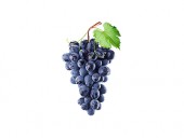 Grape