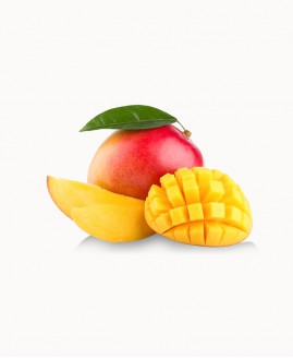 faucibus iPhone