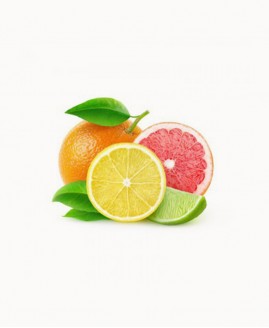 adipiscing mollitelit ipsum