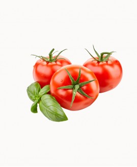 adipiscing mollitelit ipsum